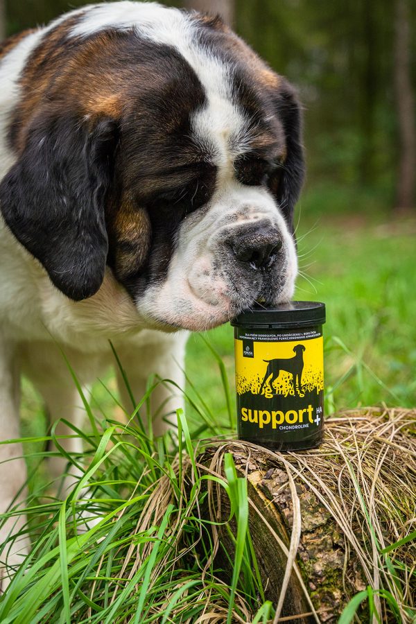CHONDROLINE SUPPORT 350gr - Imagen 2