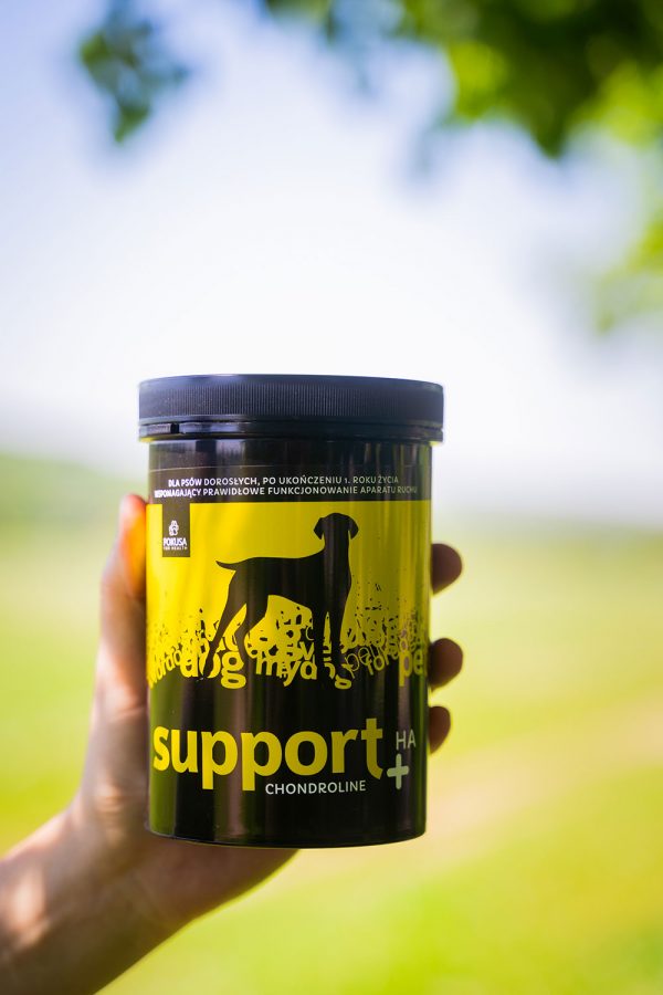 CHONDROLINE SUPPORT 350gr - Imagen 3