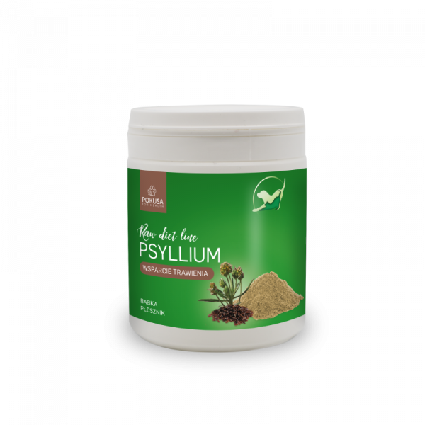 PSYLLIUM RAWDIETLINE 100 g