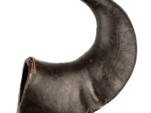 Cuernos de búfalo